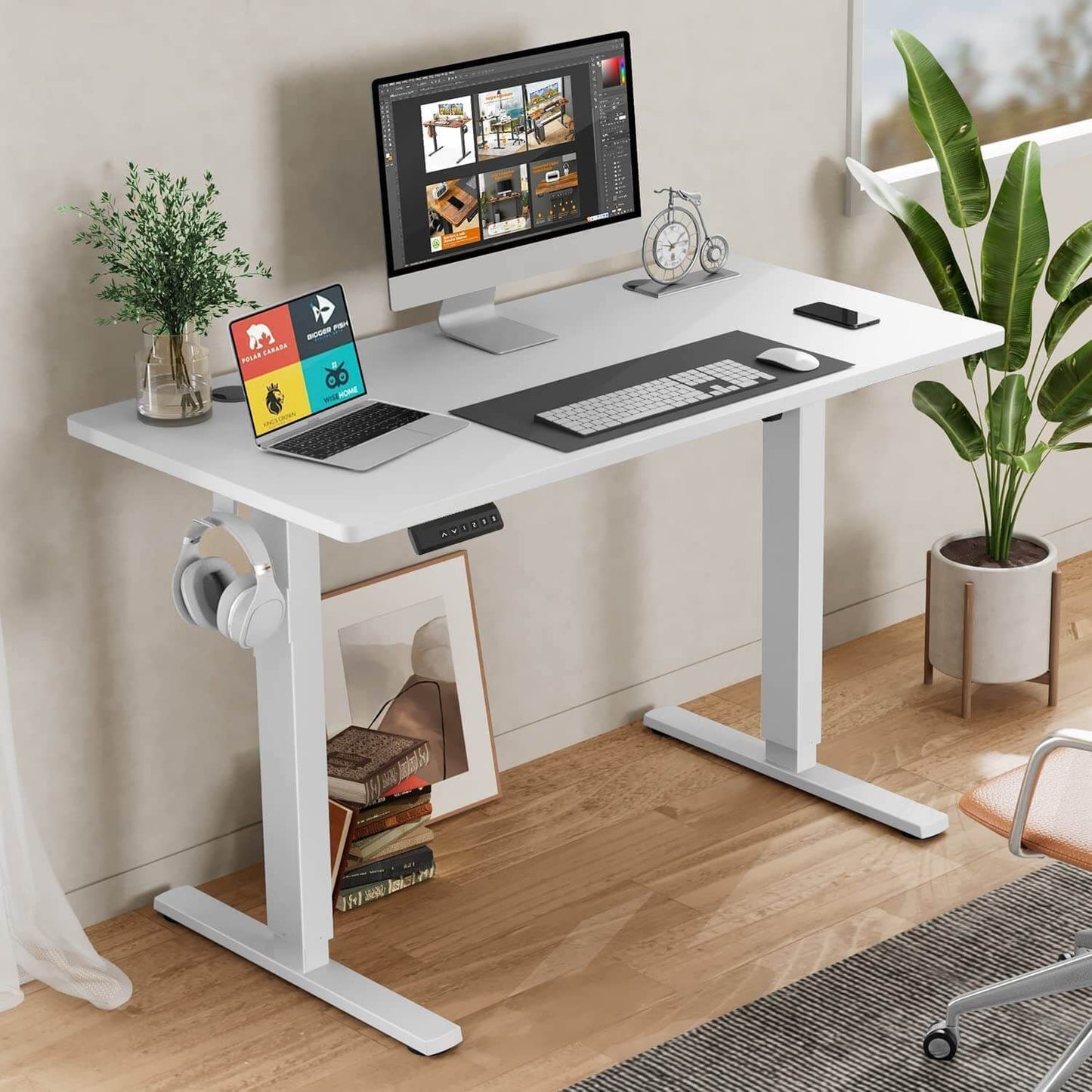 Electric Height Adjustable Standing Desk,Sit to Stand Ergonomic Computer Desk,White,55'' x 24"