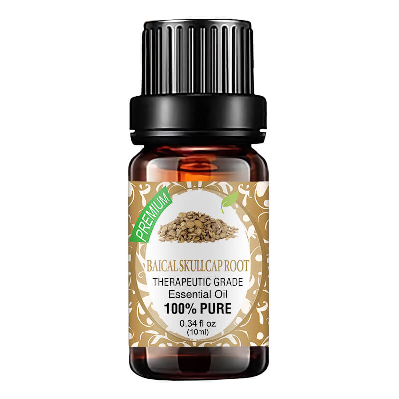 Baical Skullcap Root Essential Oils E160